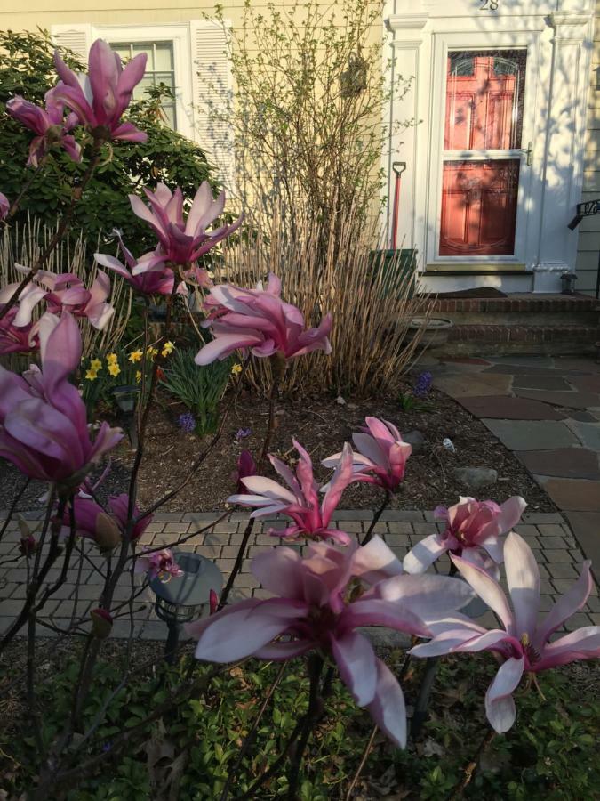 Wellesley Bed And Breakfast 외부 사진
